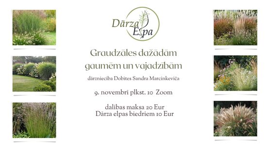 Dārza elpas lekcija Zoom- Graudzāles dažādām gaumēm un vajadzībām